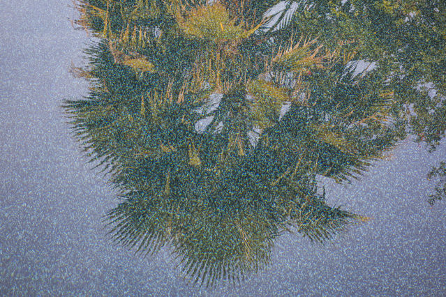 1386_2014_04_30_011.jpg
