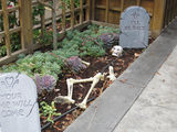 1386_2012_10_25_003.jpg