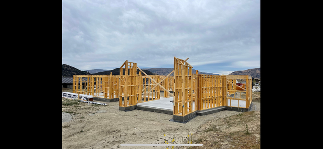 Wanaka_2024_01_08_004.PNG