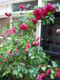 Filename=Amsterdam0017.JPG
Filesize=2157KiB
Dimensions=1536x2048
Date added=Aug 30, 2011 Amsterdam0017.JPG