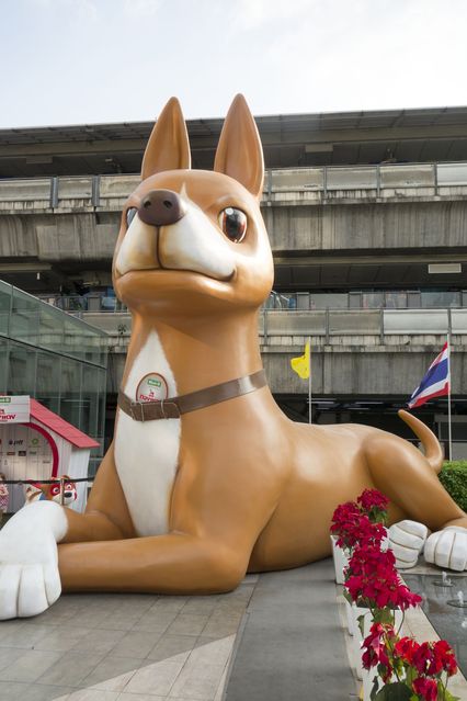 Thailand_2015_12_03_135.jpg