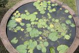 Thailand_2015_12_03_074.jpg