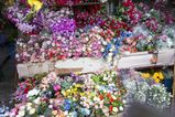 Thailand_2015_12_05_016.jpg