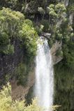 Sydney_2016_02_07_069.jpg
