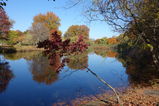 Boston_2013_11_02_025.JPG