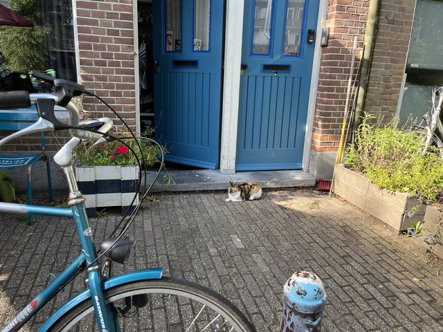 Amsterdam_2022_07_08_008.JPG