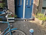 Filename=Amsterdam_2022_07_08_008.JPG
Filesize=4476KiB
Dimensions=4032x3024
Date added=Jul 25, 2022 Amsterdam_2022_07_08_008.JPG