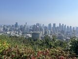 Filename=Montreal_2024_09_14_003.jpeg
Filesize=4441KiB
Dimensions=4032x3024
Date added=Oct 09, 2024 Montreal_2024_09_14_003.jpeg