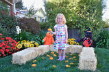 Filename=Juliette_Pumpkin_Patch_Pics_001.jpg
Filesize=3157KiB
Dimensions=2047x1365
Date added=Aug 30, 2011 Juliette_Pumpkin_Patch_Pics_001.jpg