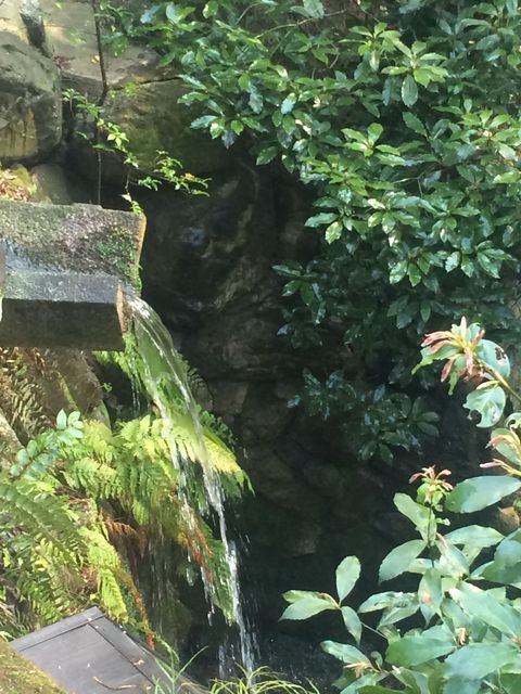 Kyoto_2016_03_28_146.JPG