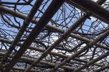Kyoto_2016_03_28_010.jpg