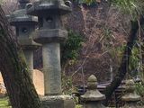 Kyoto_2016_03_28_062.JPG