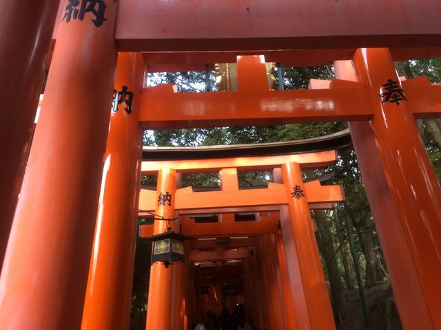 Fujishimi_Inari_Taisha_2016_03_12_105.JPG