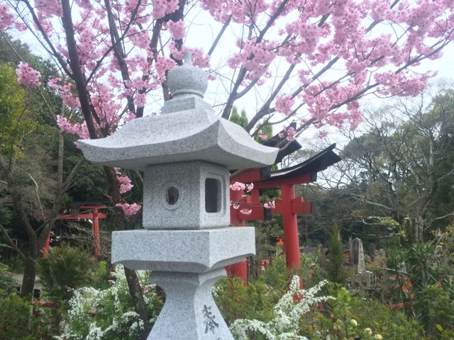 Fujishimi_Inari_Taisha_2016_03_12_127.JPG