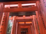 Fujishimi_Inari_Taisha_2016_03_12_109.JPG