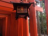 Fujishimi_Inari_Taisha_2016_03_12_111.JPG