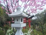 Fujishimi_Inari_Taisha_2016_03_12_127.JPG