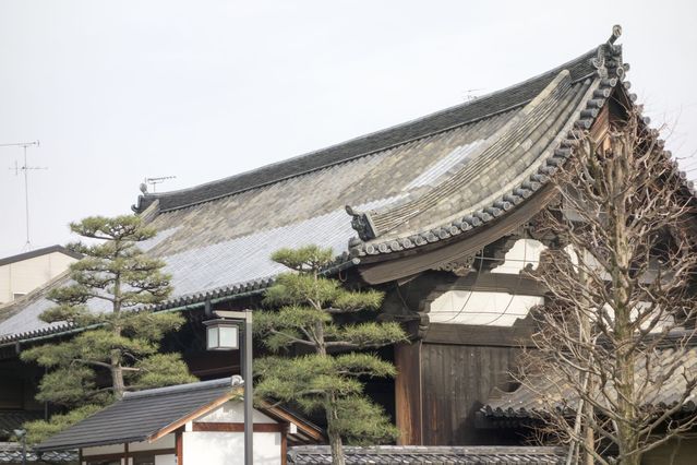 Rengeoin_Sanjusangen_2016_03_12_017.jpg