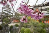 Rengeoin_Sanjusangen_2016_03_12_006.jpg