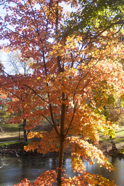Central_Park___Times_Square_2004_11_13_005.jpg