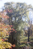 Central_Park___Times_Square_2004_11_13_001.jpg