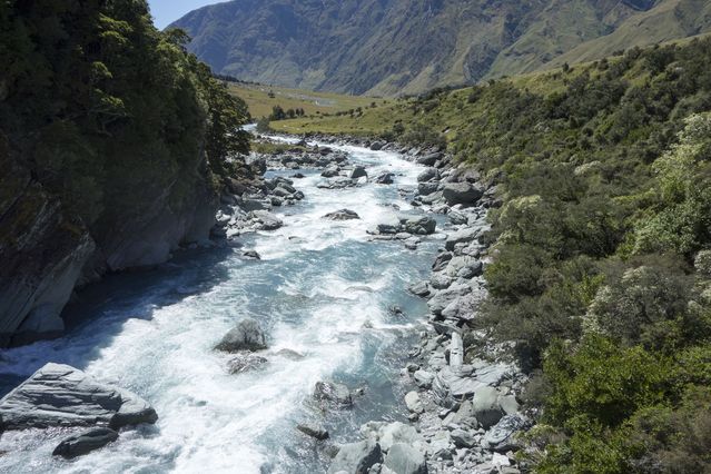 NZ_2016_01_01_010.jpg