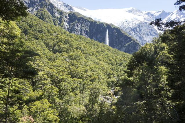 NZ_2016_01_01_013.jpg