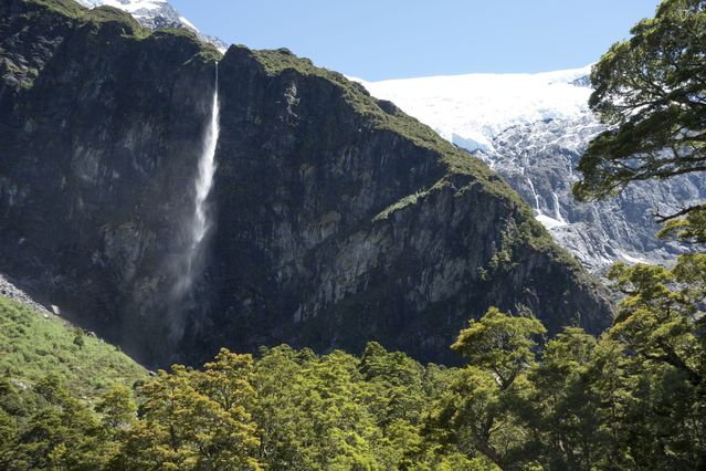 NZ_2016_01_01_022.jpg