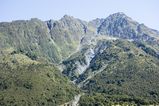 NZ_2016_01_01_003.jpg