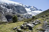 NZ_2016_01_01_031.jpg