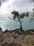Oz_2011_07_28_018.jpg
