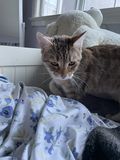 Pickle_2021_10_27_001.jpg