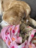 Filename=Pickle_2022_02_13_003.jpg
Filesize=4228KiB
Dimensions=3024x4032
Date added=Apr 04, 2022 Pickle_2022_02_13_003.jpg