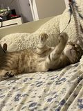 Filename=Pickle_2022_02_17_004.jpg
Filesize=1860KiB
Dimensions=3024x4032
Date added=Apr 04, 2022 Pickle_2022_02_17_004.jpg