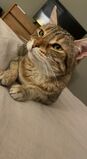 Filename=Pickle_2022_10_04_001.jpeg
Filesize=401KiB
Dimensions=1206x2208
Date added=Dec 20, 2022 Pickle_2022_10_04_001.jpeg