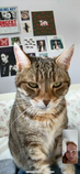 Filename=Pickle_2024_12_28_001.png
Filesize=4965KiB
Dimensions=1170x2532
Date added=Feb 06, 2025 Pickle_2024_12_28_001.png