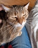 Filename=Pickle_2025_01_05_001.jpeg
Filesize=236KiB
Dimensions=1287x1600
Date added=Feb 06, 2025 Pickle_2025_01_05_001.jpeg