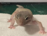Robert_2019_02_11_001.jpg