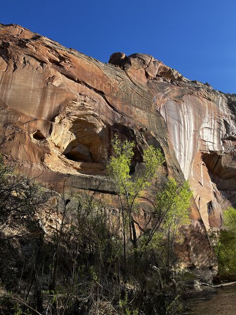 hiking in Escalante (April 2025)
