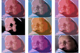Robert_mosaic-004.jpg