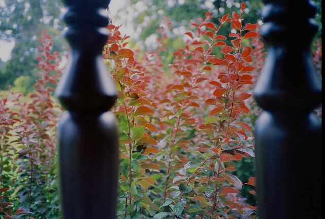 Robert_2024_04_05_003.jpg