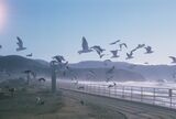 Robert_2023_06_19_001.jpeg