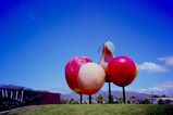 Filename=Wanaka_2019_12_29_006.JPG
Filesize=1340KiB
Dimensions=2048x1365
Date added=Mar 25, 2020 Wanaka_2019_12_29_006.JPG