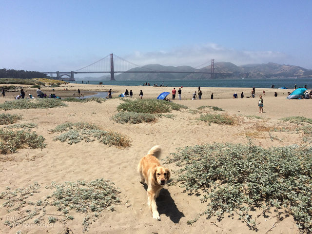 Ruby's back in SF!

