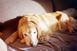 Filename=Robert_2019_04_04_031.jpg
Filesize=1260KiB
Dimensions=2048x1365
Date added=May 29, 2020 Robert_2019_04_04_031.jpg