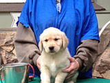 Ruby_2013_02_27_002.jpg