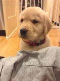 Ruby_2013_03_03_022.jpg