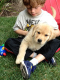 Ruby_2013_03_18_001.jpg
