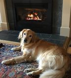 Filename=Ruby_2017_09_22_001.jpg
Filesize=1040KiB
Dimensions=1850x2048
Date added=Mar 04, 2018 Ruby_2017_09_22_001.jpg