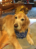 Filename=Ruby_2018_12_31_001.jpg
Filesize=232KiB
Dimensions=512x683
Date added=Feb 18, 2019 Ruby_2018_12_31_001.jpg